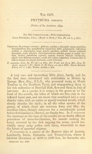 Botanical Magazine 106 - 1880.pdf - hibiscus.org