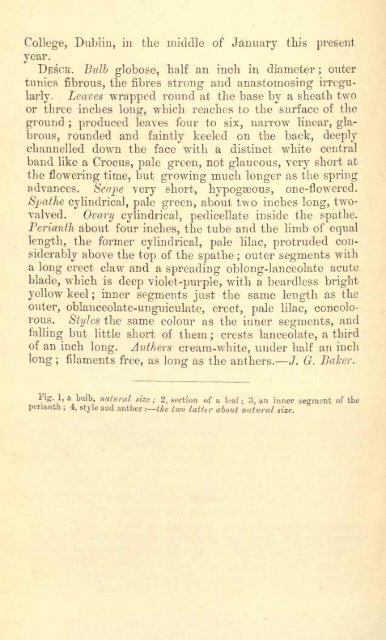 Botanical Magazine 106 - 1880.pdf - hibiscus.org