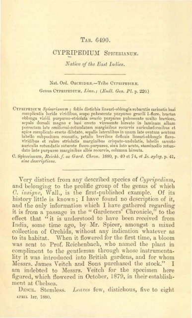 Botanical Magazine 106 - 1880.pdf - hibiscus.org