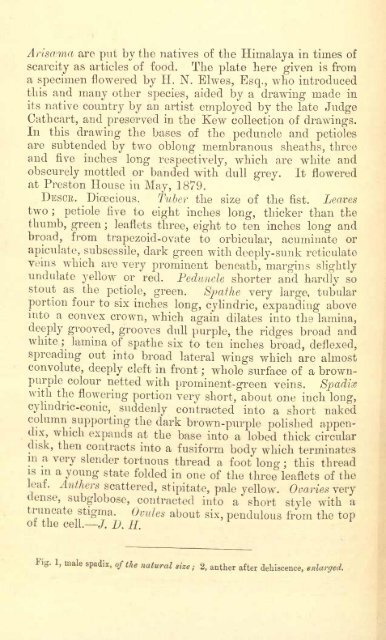 Botanical Magazine 106 - 1880.pdf - hibiscus.org