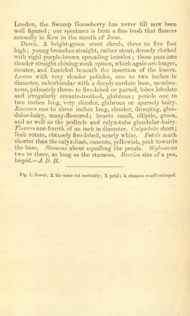 Botanical Magazine 106 - 1880.pdf - hibiscus.org