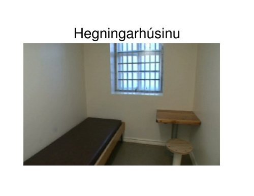 The Icelandic Prison Service - counselling in prisons network