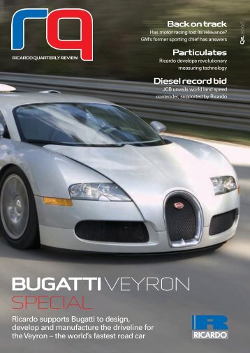 BUGATTI VEYRON SPECIAL - Ricardo