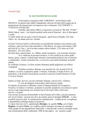 homofaber, CIGLIC SAUVIGNON x 26.12.08 - Claudio Fabbro