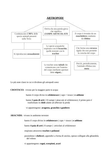 ARTROPODI - Scuola del Molinatto