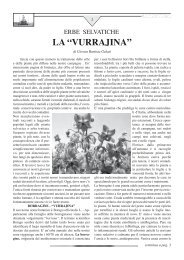 erbe selvatiche la “vurrajina” - Confraternita del SS Crocifisso