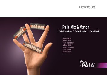 Pala Mix & Match - Heraeus Dental