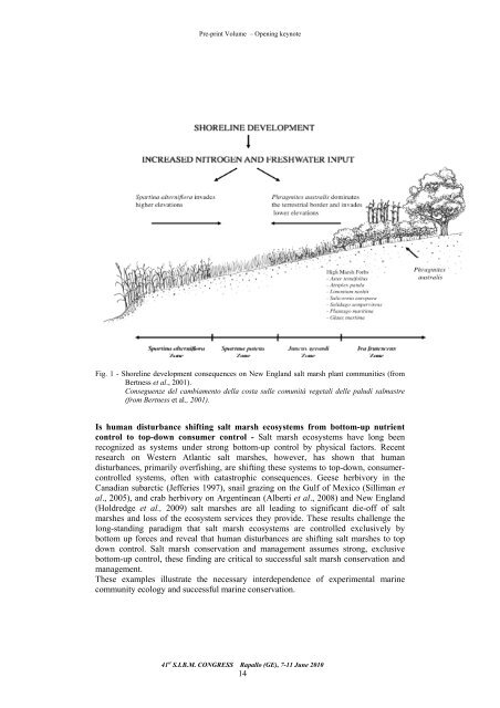 Preprint volume - SIBM