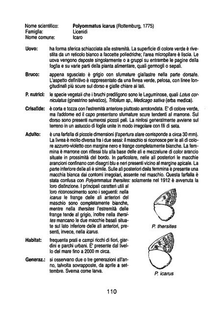 quaderno farfalle diurne - Parco Oglio Sud