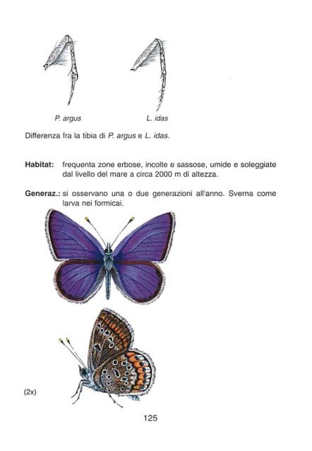 quaderno farfalle diurne - Parco Oglio Sud