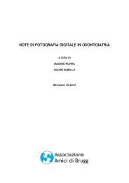 pdf 2.1 Mb - Amici di Brugg