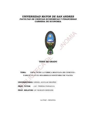 UNIVERSIDAD MAYOR DE SAN ANDRES - UMSA