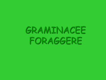 GRAMINACEE FORAGGERE - Di.Pro.Ve