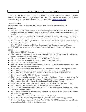 esempi di curriculum vitae et studiorum