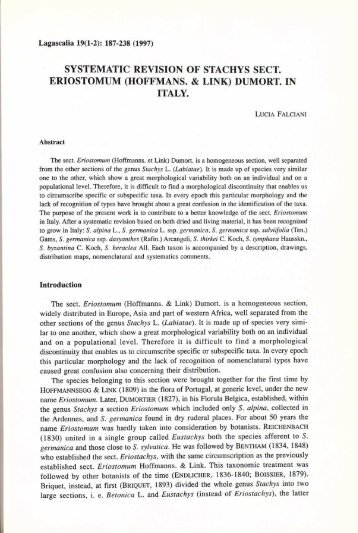 SYSTEMATIC REVISION OF STACHYS SECT. ERIOSTOMUM ...