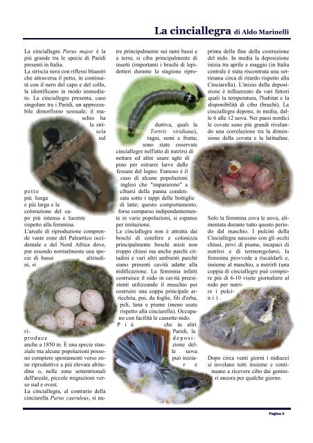Magazine n.3 - Natura Mediterraneo