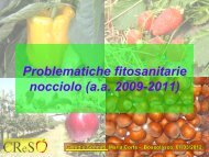 Problematiche fitosanitarie del nocciolo (2009-2011). - NocciolaRe