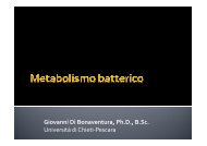 10 MEDICINA - metabolismo batterico.pdf - Ch.unich.it