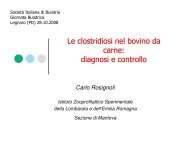 Le clostridiosi nel bovino da carne - Società Italiana di Buiatria