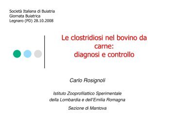Le clostridiosi nel bovino da carne - Società Italiana di Buiatria