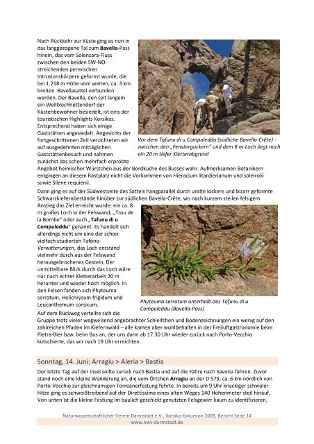 PDF-Version (8 MB) - NWV-Darmstadt