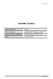 INFORME TECNICO - Espacio Corfo