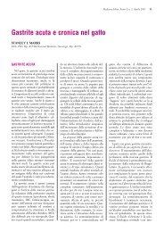 Gastrite acuta e cronica nel gatto - Vet.Journal