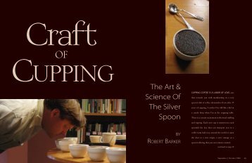 Craft of Cupping - Roast Magazine