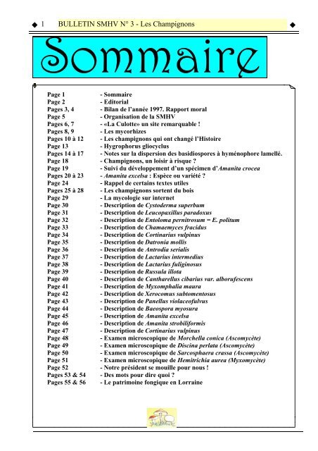 Bulletin SMHV 3 - Société Mycologique des Hautes Vosges