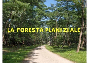 LA FORESTA PLANIZIALE