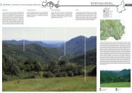 Download scheda - PAYS MED