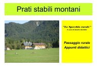 Prati stabili montani - Ersa