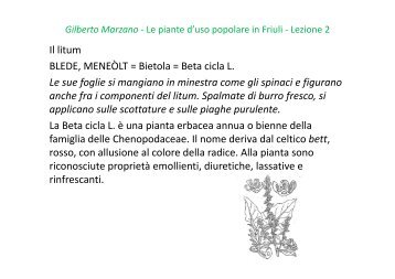 Le piante d'uso popolare in Friuli - Lezione 3