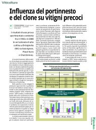 Influenza del portinnesto e del clone su vitigni precoci - Crpv