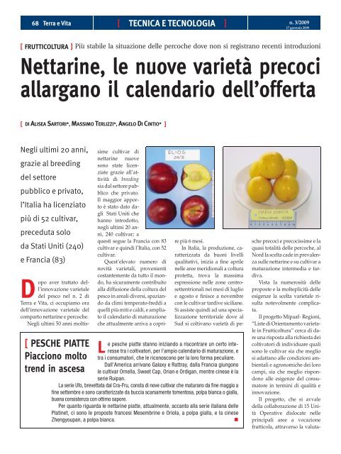 Nettarine, le nuove varietà precoci allargano il ... - Agricoltura24