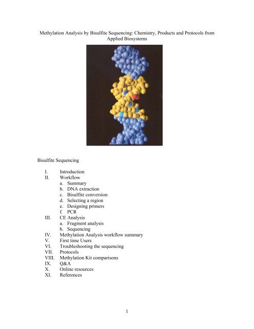 Methylation Analysis By Bisulfite Sequencing Invitrogen
