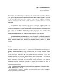 La patología ambiental - Coordinación de Estudios de Posgrado ...