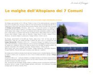 Le malghe dell'Altopiano dei 7 Comuni - Gustolocale