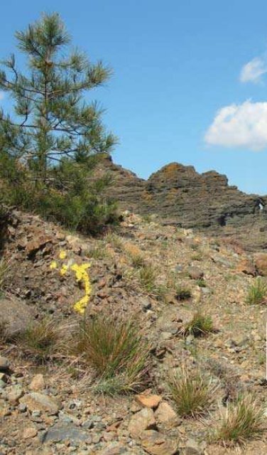 Guida Sentieri Natura italiano - Parco Naturale Regionale del Beigua