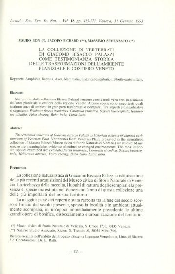 La collezione di Vertebrati di Giacomo Bisacco Palazzi - Ornitologia ...