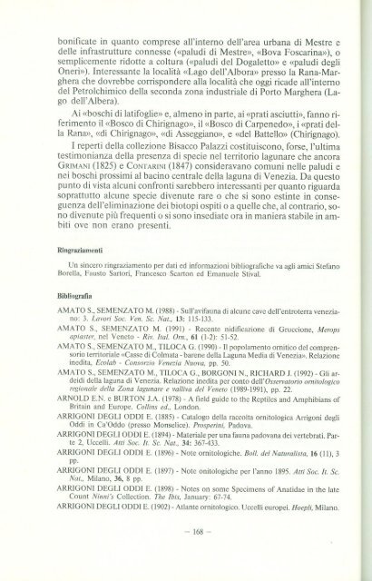 La collezione di Vertebrati di Giacomo Bisacco Palazzi - Ornitologia ...