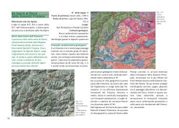 Da Sauris al Parco Dolomiti Friulane.pdf - Geologia e Turismo