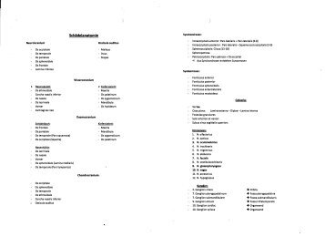 Schädelanatomie - Greifmed