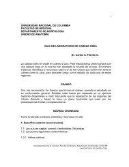 cabeza ?sea- gu? - Docentes.unal.edu.co - Universidad Nacional ...