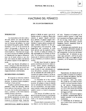 FRACTURAS DEL PEÑASCO - Binasss