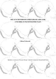 die synchondrosis sphenobasilaris (ssb) und ihre ... - Rudolf Merkel