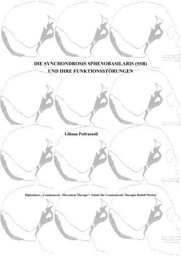 die synchondrosis sphenobasilaris (ssb) und ihre ... - Rudolf Merkel