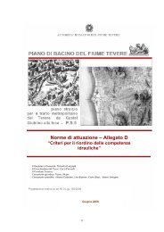 Norme di attuazione – Allegato D - Autorità di Bacino del fiume Tevere