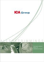 Download - Industria Chimica Adriatica S.p.A.