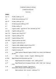 Serie III